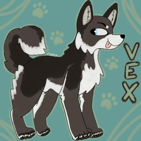Vex (13/09/24)